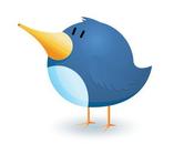 Novità Twitter