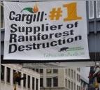 Olio palma: tocca Cargill