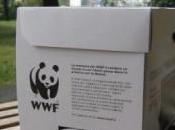 Nasce Bulb box, finalmente anche lampadine possono ricilare