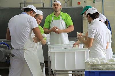 la mozzarella di Matera