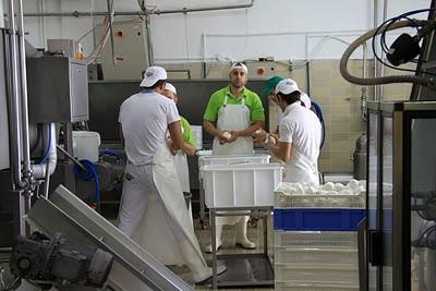 la mozzarella di Matera