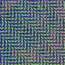 animal collective cd.jpg