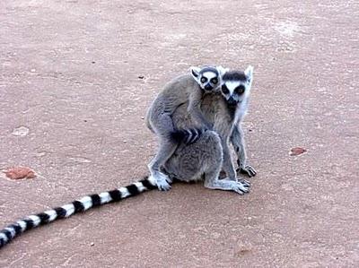 Madagascar