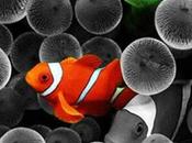 SymColorSplash