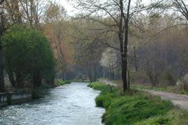 Pasquetta a Cuneo? Trekking nel Parco fluviale Gesso e Stura