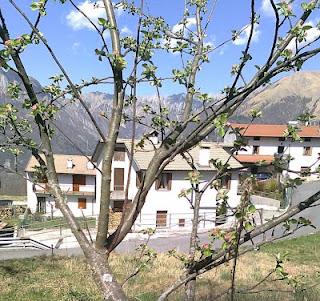 Risveglio della natura in Terska dolina