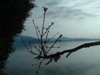 Manerba - Parco della Rocca