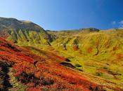 ...colori d'autunno...