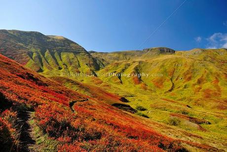 ...COLORI D'AUTUNNO...