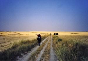 Alfonso Cappa: Fiori Blu Lungo la Strada della Vita