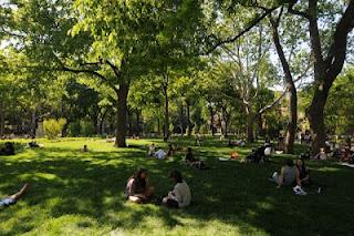 DanaGardenGuide New York _Washington Square Park