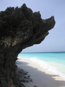Undici motivi per (non) andare a Zanzibar