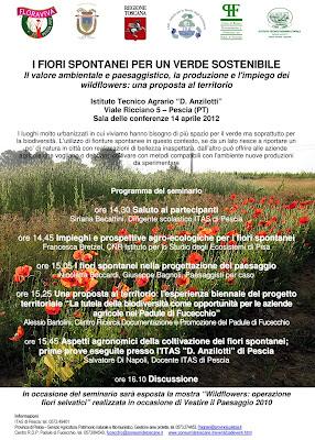 I fiori spontanei per un verde sostenibile