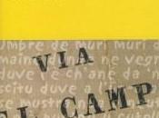 Fabrizio André, parole musica