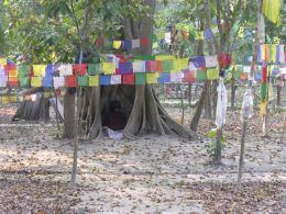 Si complica la vita del Buddha Boy