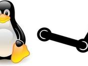 Valve cerca sviluppatori Linux