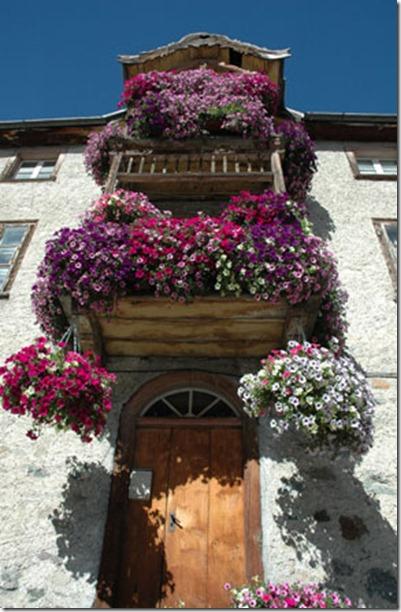 3083_livigno_balcone_fiorito