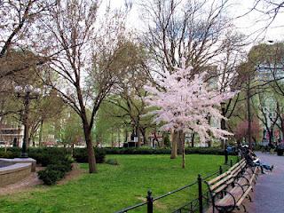 DanaGardenGuide New York _Union Square