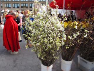 DanaGardenGuide New York _Union Square