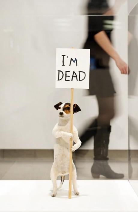 David Shrigley a The Hayward Gallery