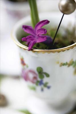 Blommor, flowers e fiori