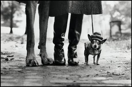 Personal Best. Elliott Erwitt è a Venezia