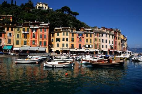 Portofino: navi in aree delimitate.