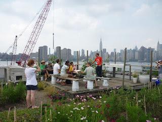 DanaGardenGuide New York _ L’Eagle Street Rooftop Farm