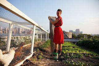 DanaGardenGuide New York _ L’Eagle Street Rooftop Farm