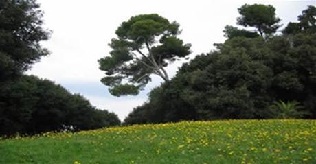 La voglia di scoperta del patrimonio paesaggistico e culturale italiano. Con Nereide