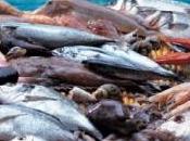 Coldiretti: Venerdì Passione base pesce degli italiani