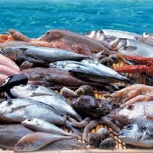 Coldiretti: Venerdì di Passione a base di pesce per il 70% degli italiani