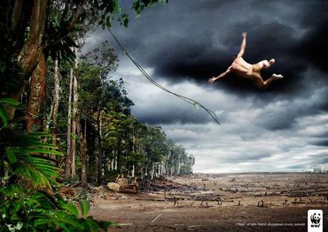 WWF :: Pubblicità riflessive