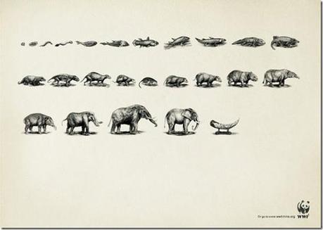 WWF :: Pubblicità riflessive