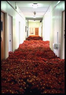 Anna Schuleit_Bloom 2003