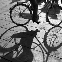 Andare in bicicletta contromano non è un reato