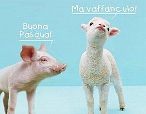 agnello-pasqua.jpg