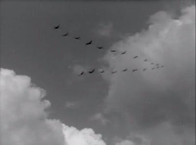 Letjat zhuravli - Quando volano le cicogne