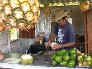 CIBO POR LA CALLE