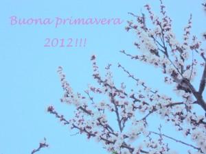 Primavera 2012.　「２０１２年春」