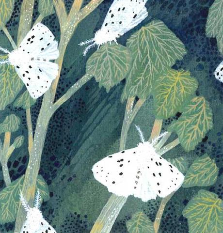 DELIZIOSI PATTERNS NELLE ILLUSTRAZIONI DI BECCA STADTLANDER