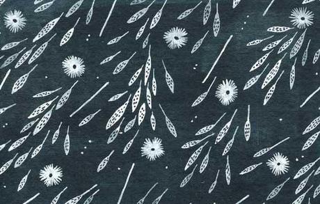 DELIZIOSI PATTERNS NELLE ILLUSTRAZIONI DI BECCA STADTLANDER