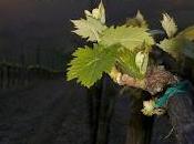 Buona Pasqua Villa Petriolo!