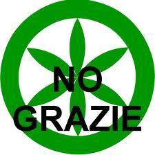 lega nord no grazie