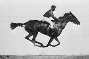 Animated sequence of a race horse galloping. P...