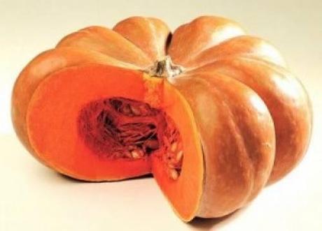 La zucca
