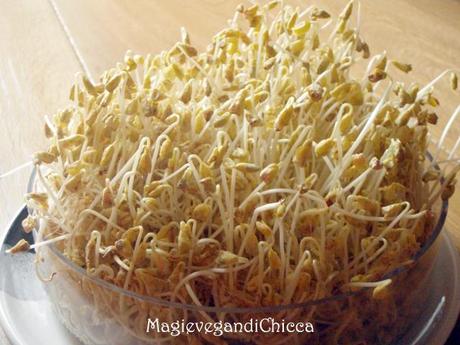 Crepes di quinoa con ripieno energetico
