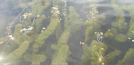 Lagoa di Arituba / Natal