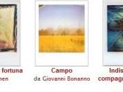 Foto della settimana