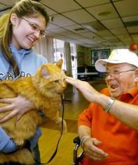 Guarire con gli amici animali